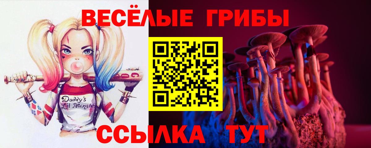 Галлюциногенные грибы Psilocybe  Псилоцибиновые грибы GOLDEN TEACHER  Алейск  Вход с VPN 